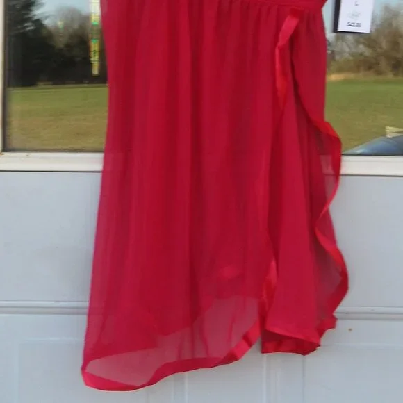 NWT baby doll nighty & panty with lace & metallic details size L - Picture 7 of 15